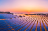 Large field of solar panels