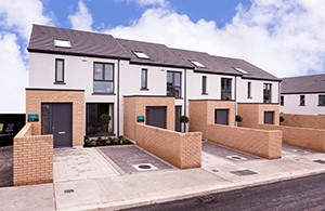 Newpark Houses