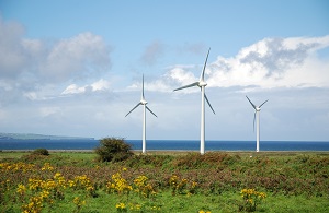 Scenery with windmills